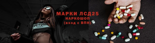 хмурый Гусев