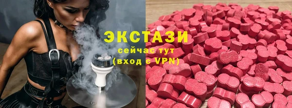 гидра Михайловка