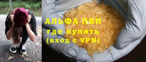 хмурый Гусев