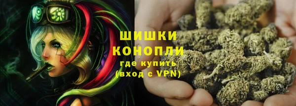 PSILOCYBIN Горнозаводск