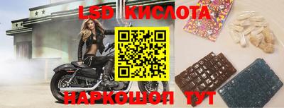 каннабис Аргун