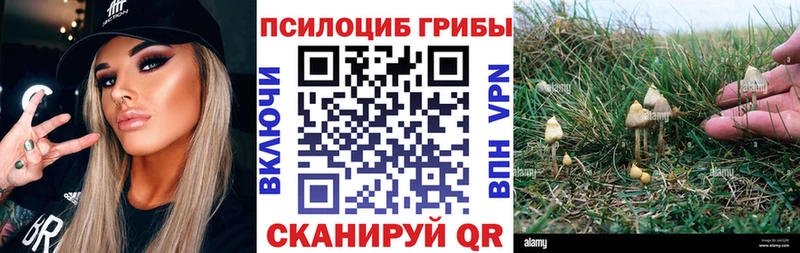Псилоцибиновые грибы мухоморы  ОМГ ОМГ онион  Наро-Фоминск 
