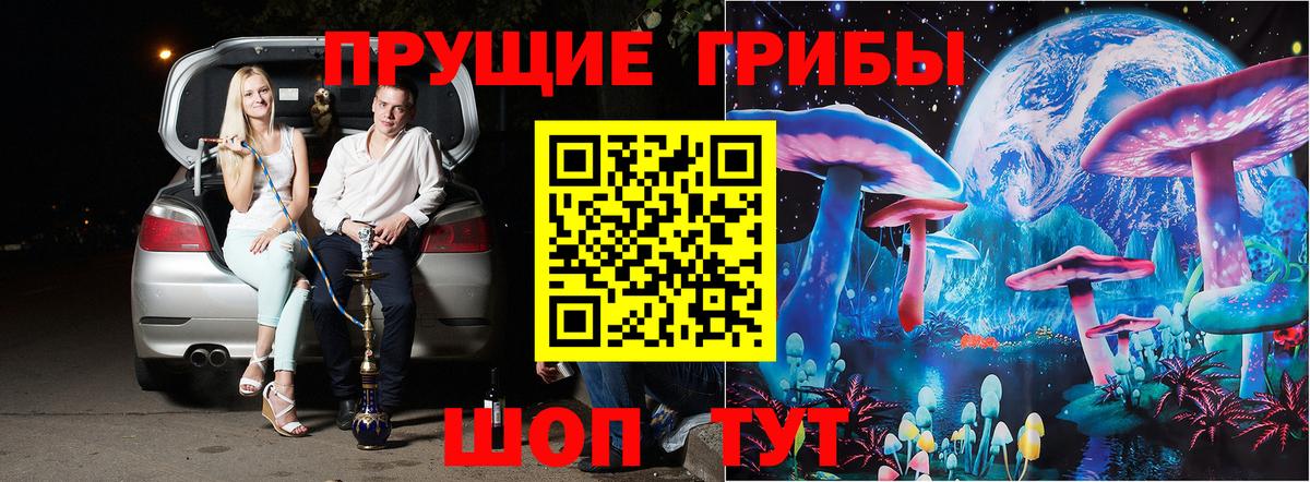 Псилоцибиновые грибы прущие грибы  хочу наркоту  Наро-Фоминск 