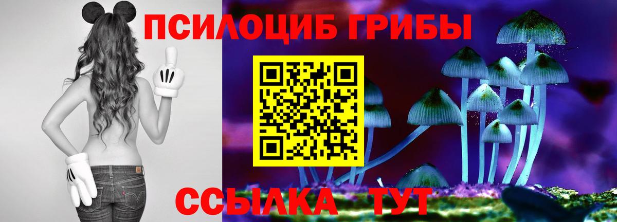 Псилоцибиновые грибы Magic Shrooms Наро-Фоминск